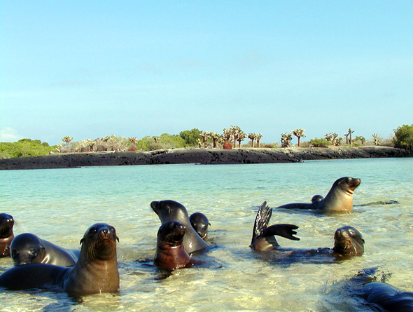 Tours en Santa Cruz